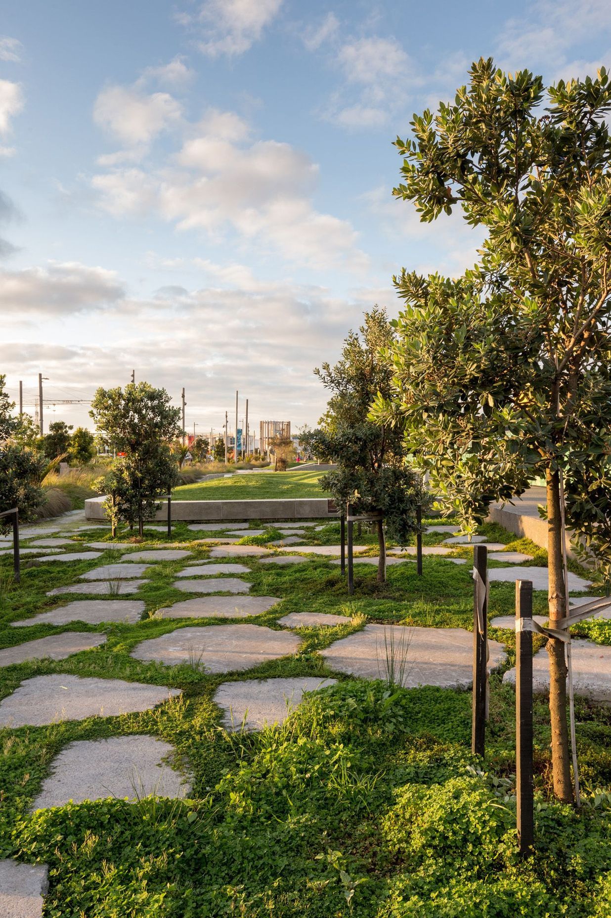 LandLAB - Westhaven Promenade and Daldy Street Linear Park