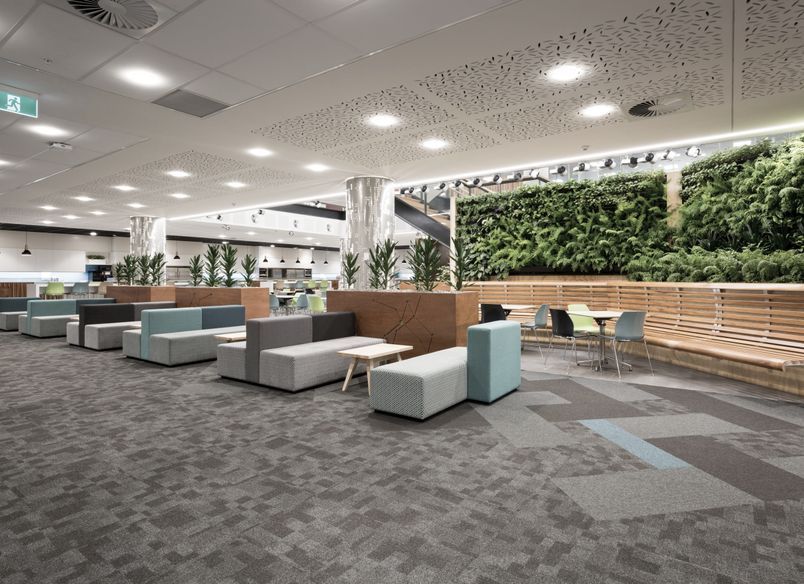 Datacom Auckland