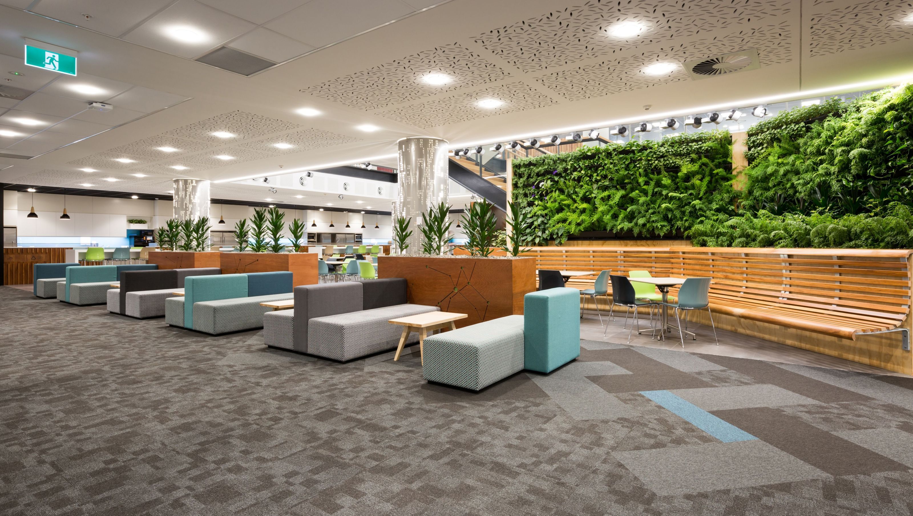 Datacom Auckland