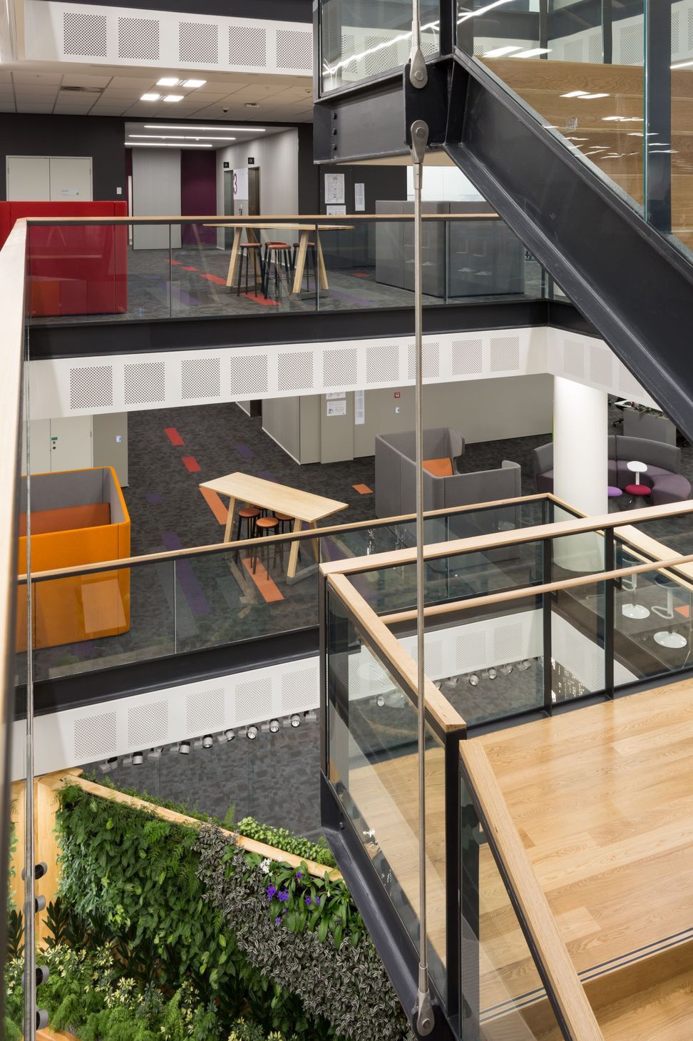Datacom Auckland