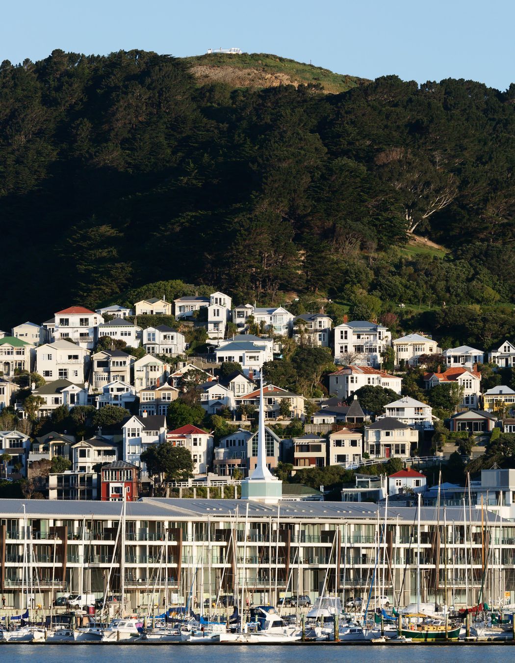 Clyde Quay Wharf, Wellington