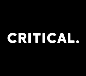Critical professional logo