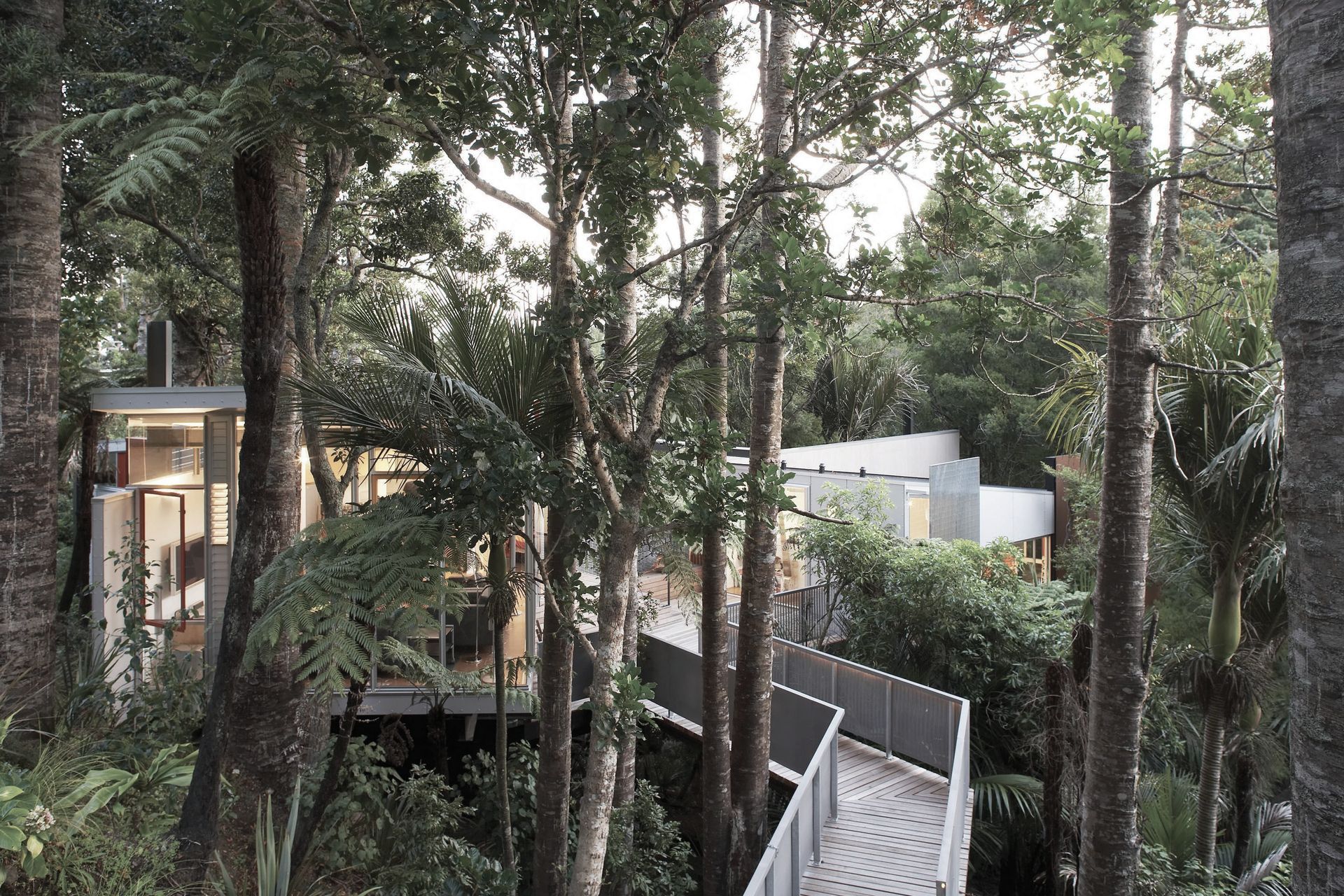 McCahon Artist's Residence