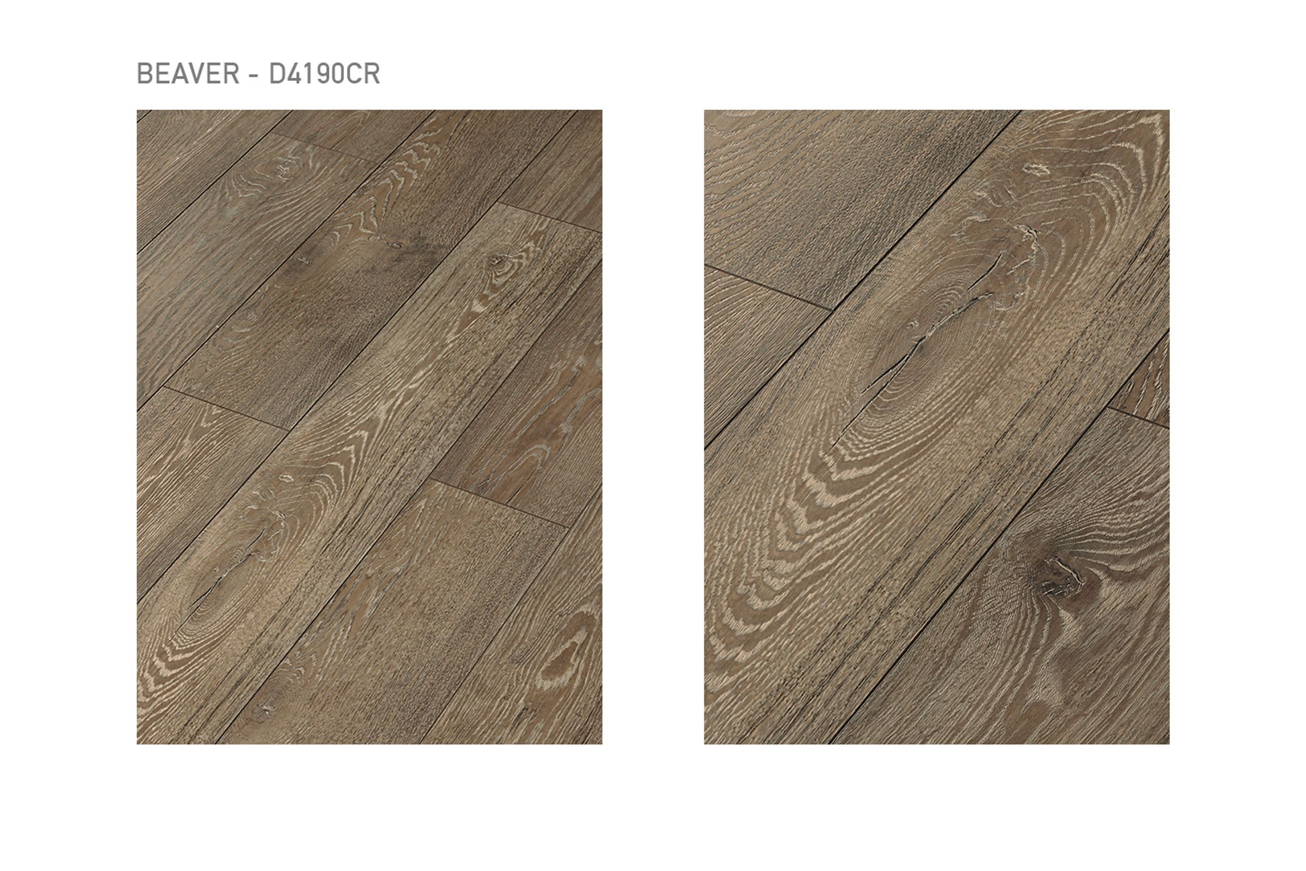 Swiss Krono - Grand Selection Oak - Beaver - Laminate
