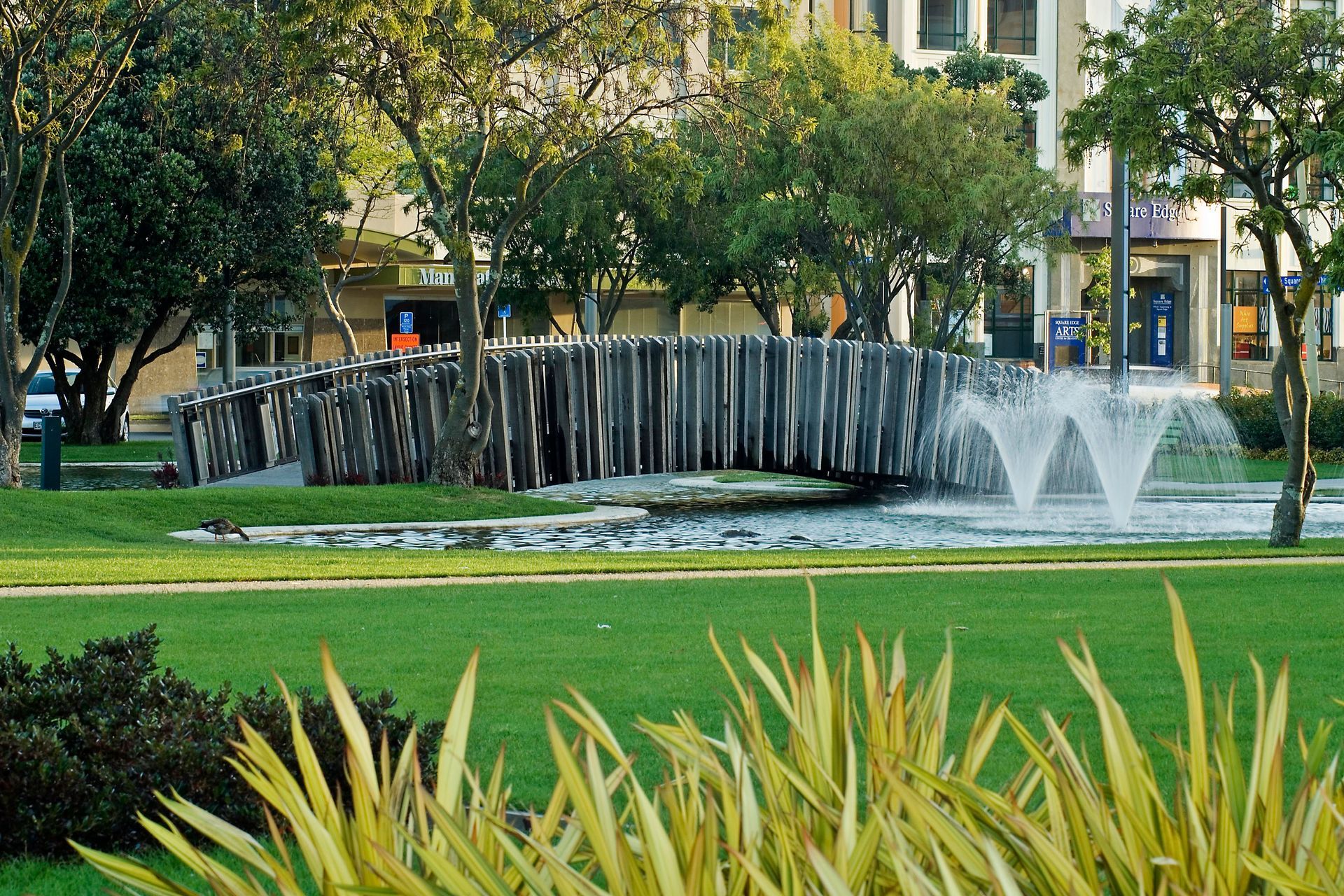 PALMERSTON NORTH CITY HEART