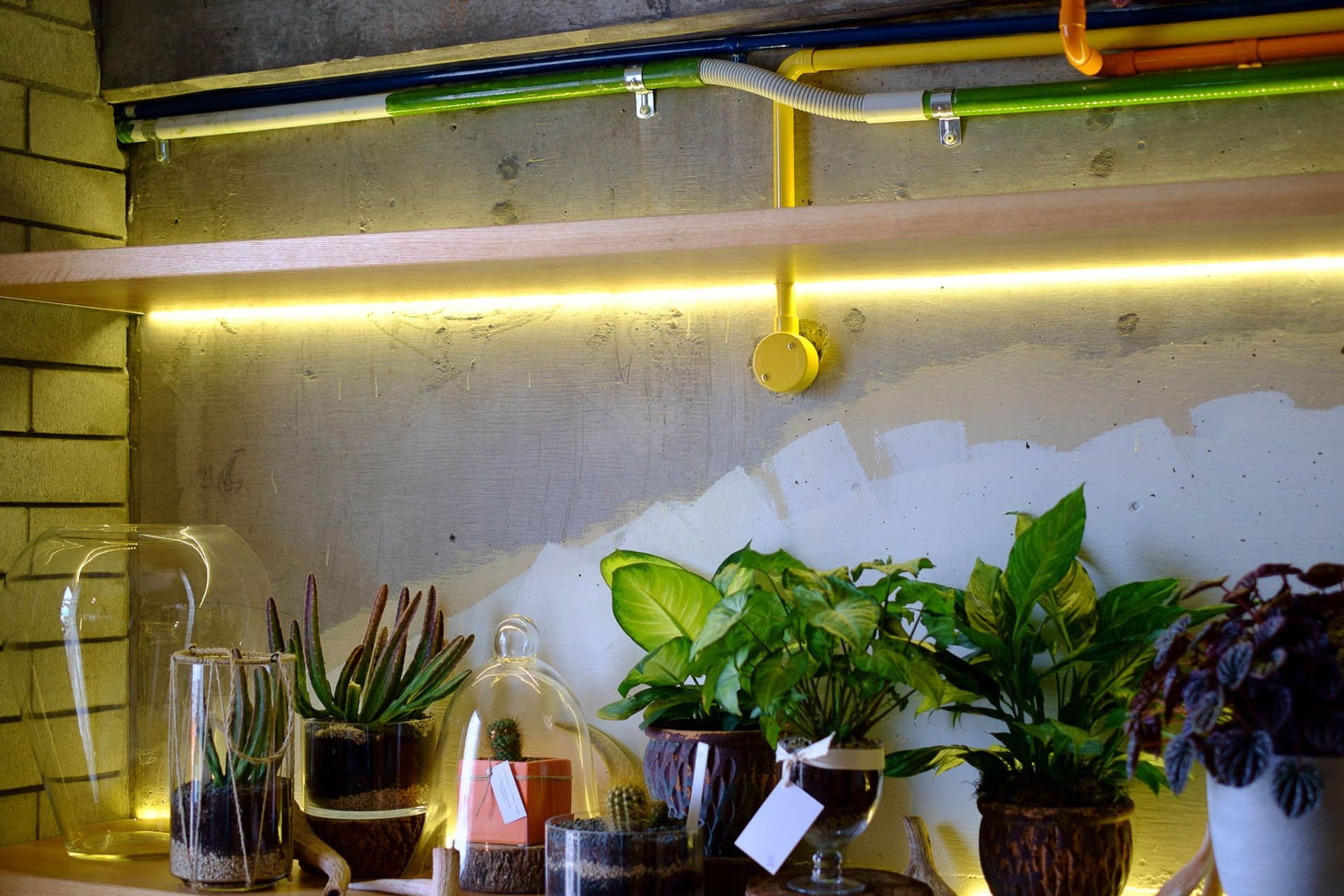 The Botanist
