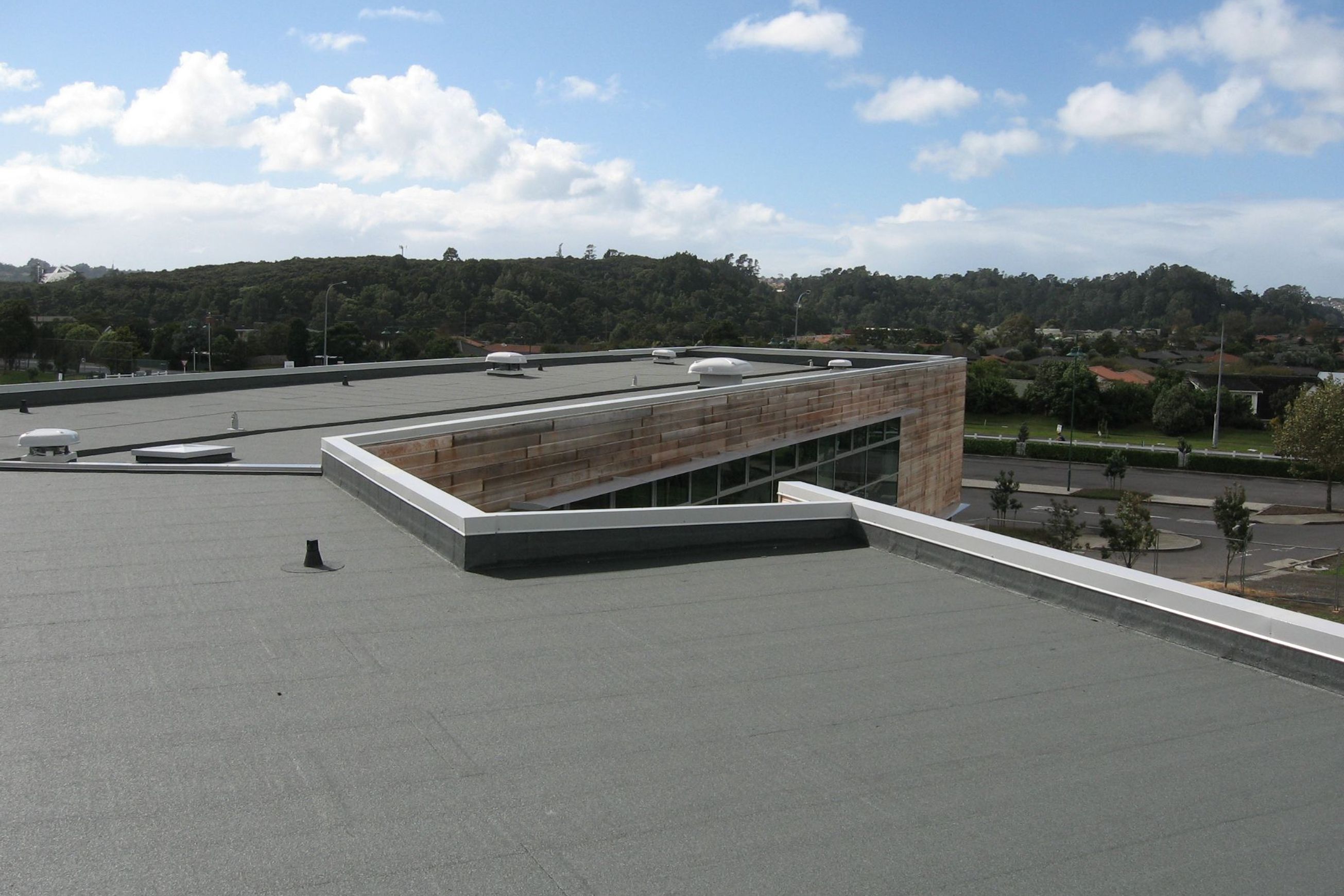 Viking Gemini APP Waterproofing Membrane 