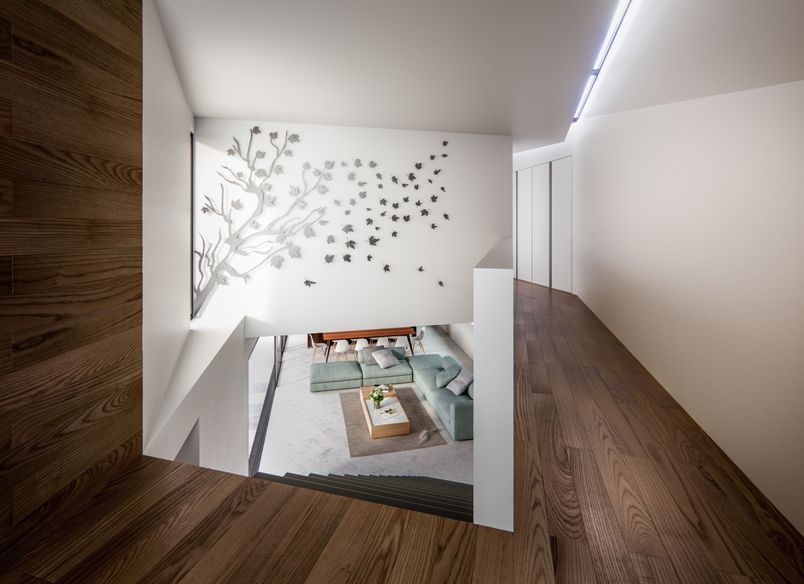 House in Remuera