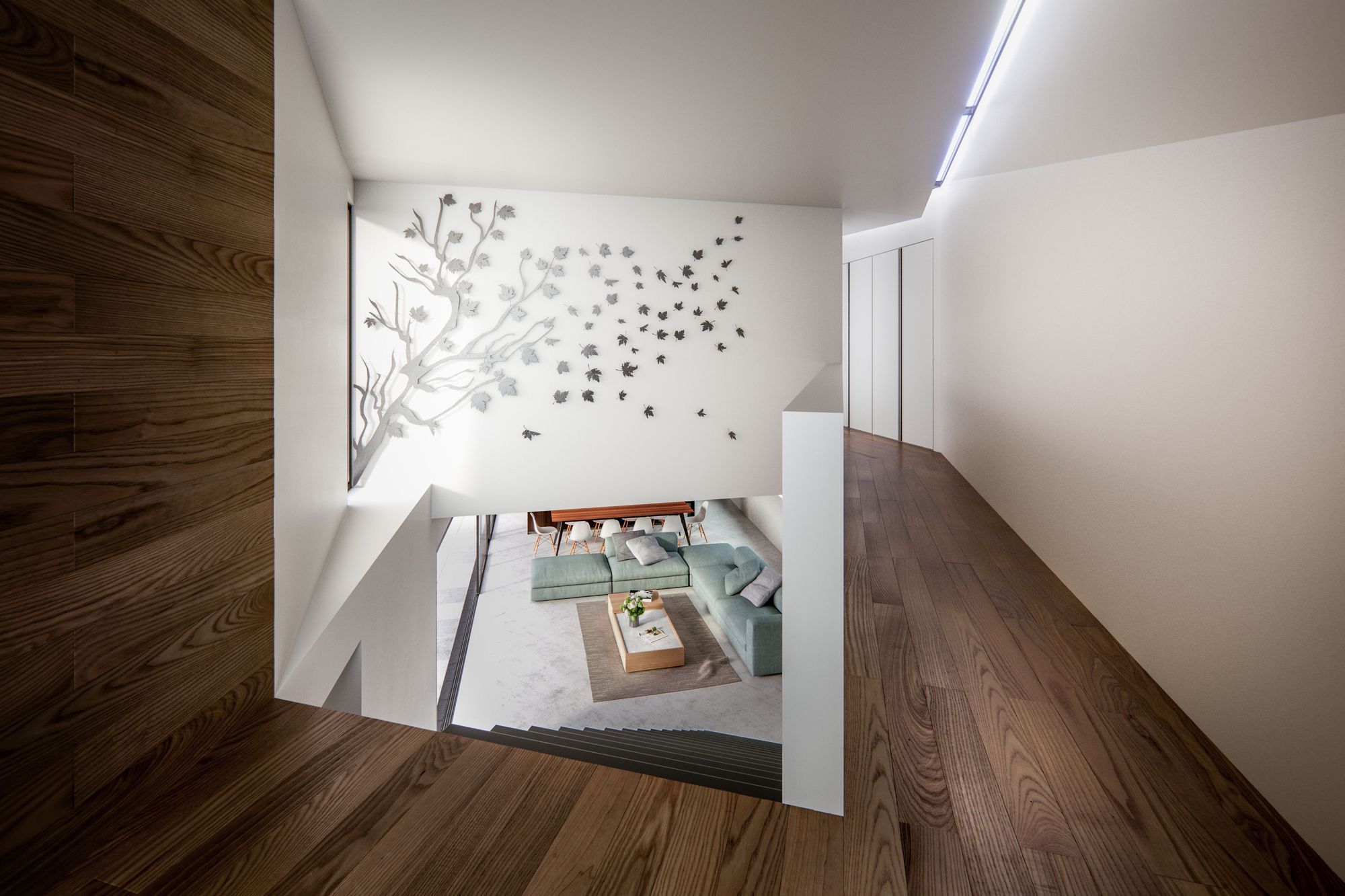House in Remuera