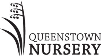 Queenstown Nursery professional logo