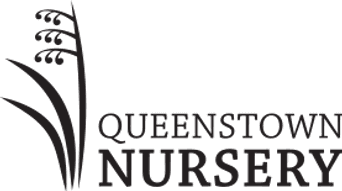 Queenstown Nursery company logo