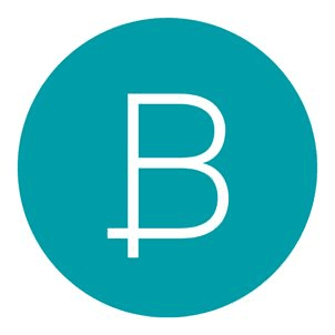 Bones Studio company logo