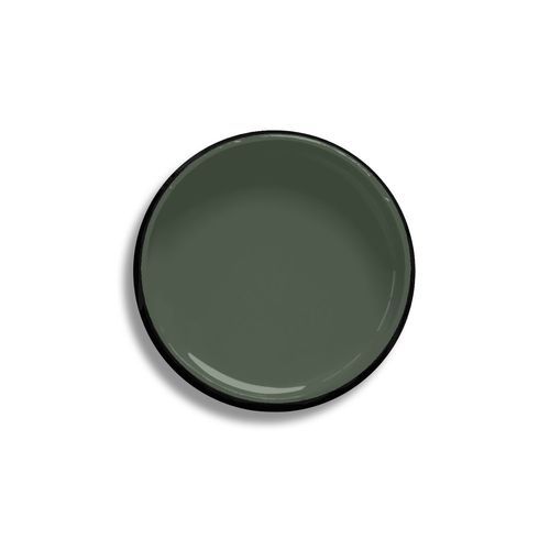 Resene Forest Green