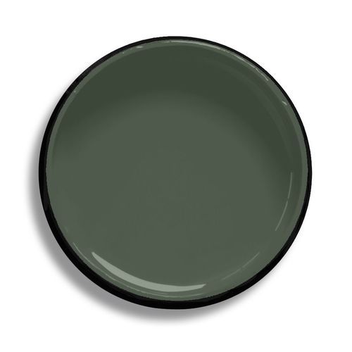 Resene Forest Green