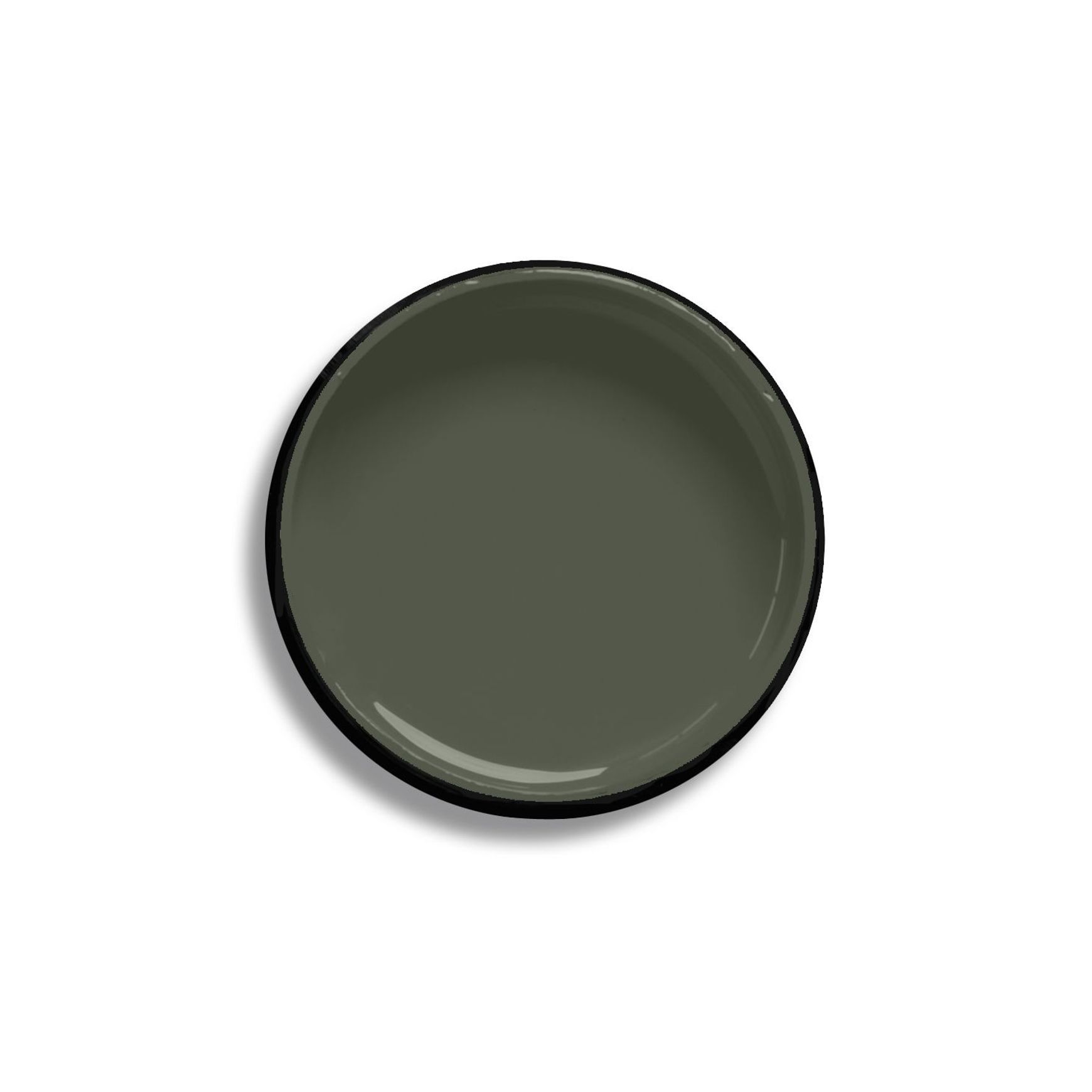 Resene Olive Green