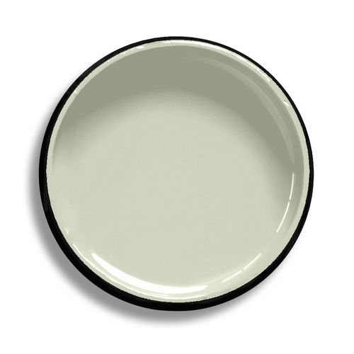 Resene Pale Leaf