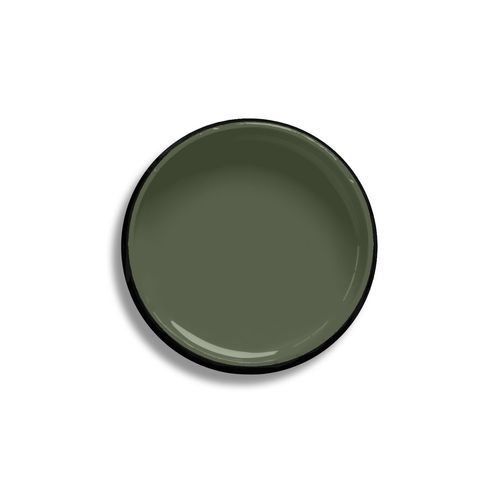 Resene Turtle Green