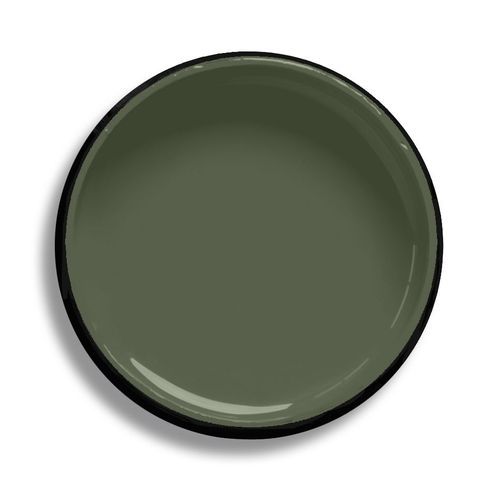 Resene Turtle Green