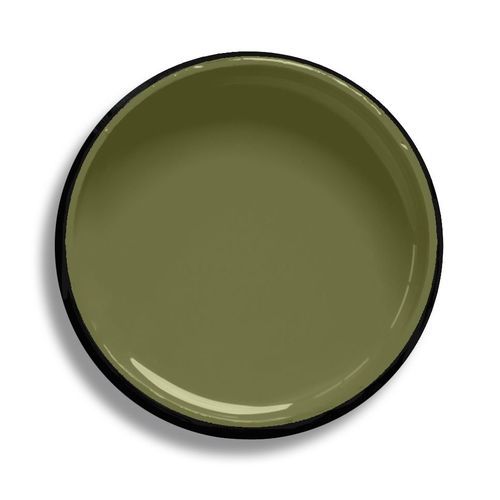 Resene Verdun Green