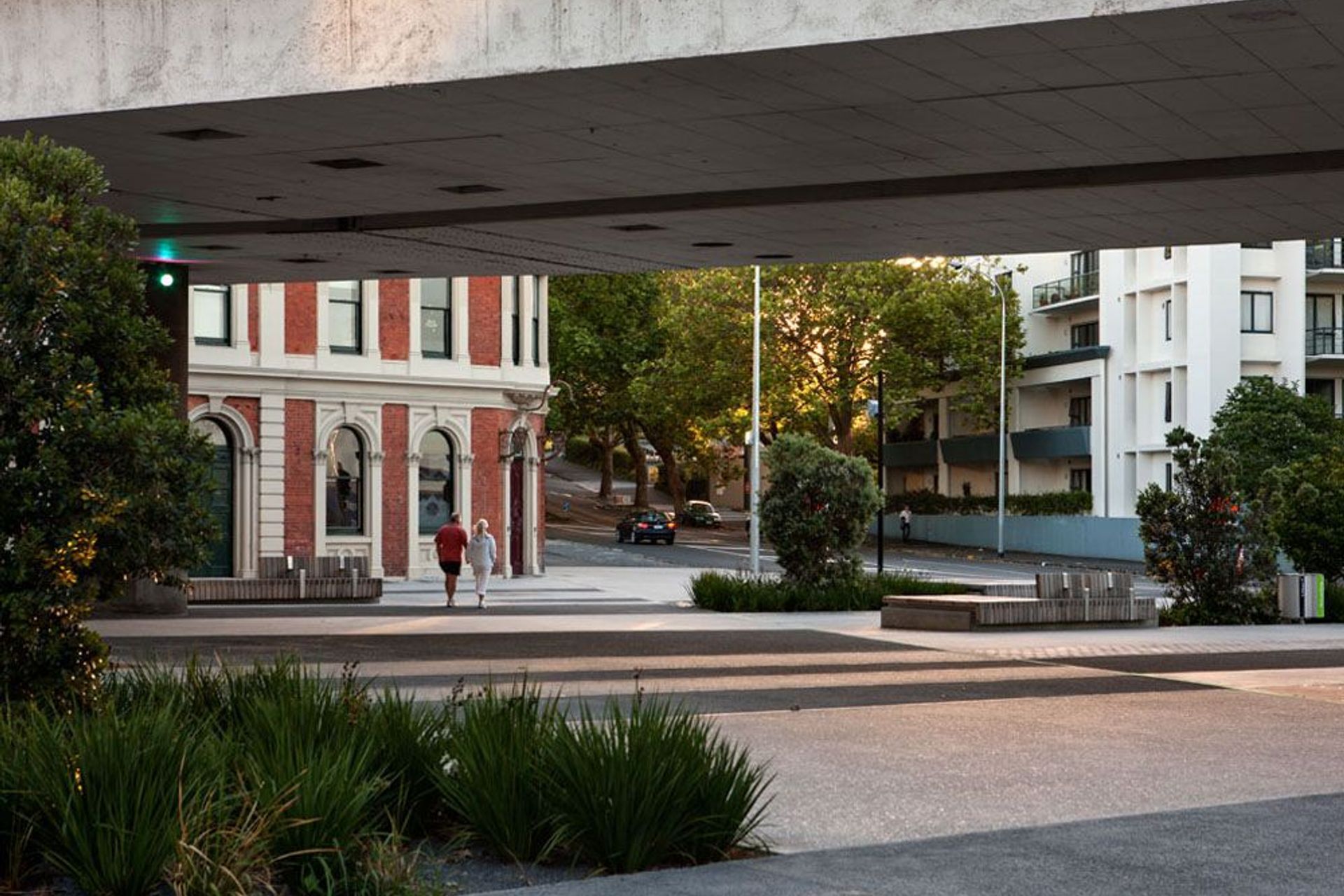 ROB ROY, THE BIRDCAGE