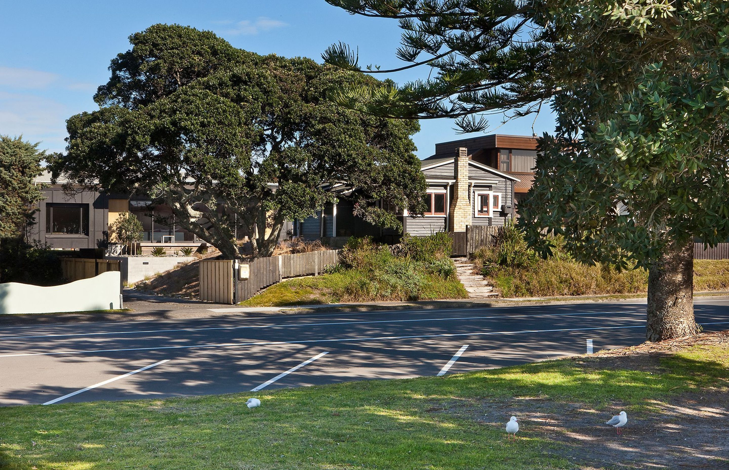 Screened by Pohutukawa (Stage One)