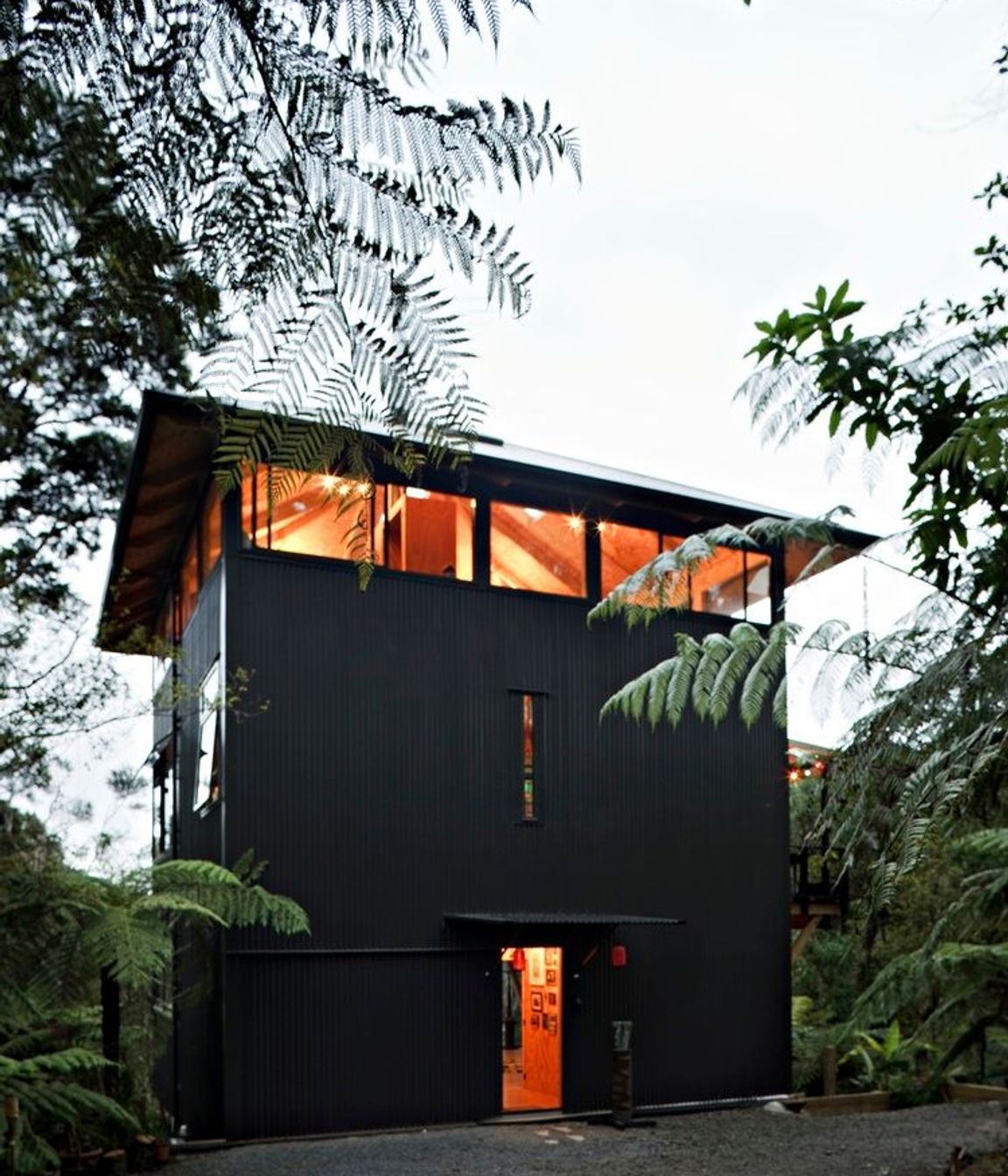 Titirangi House in the Trees