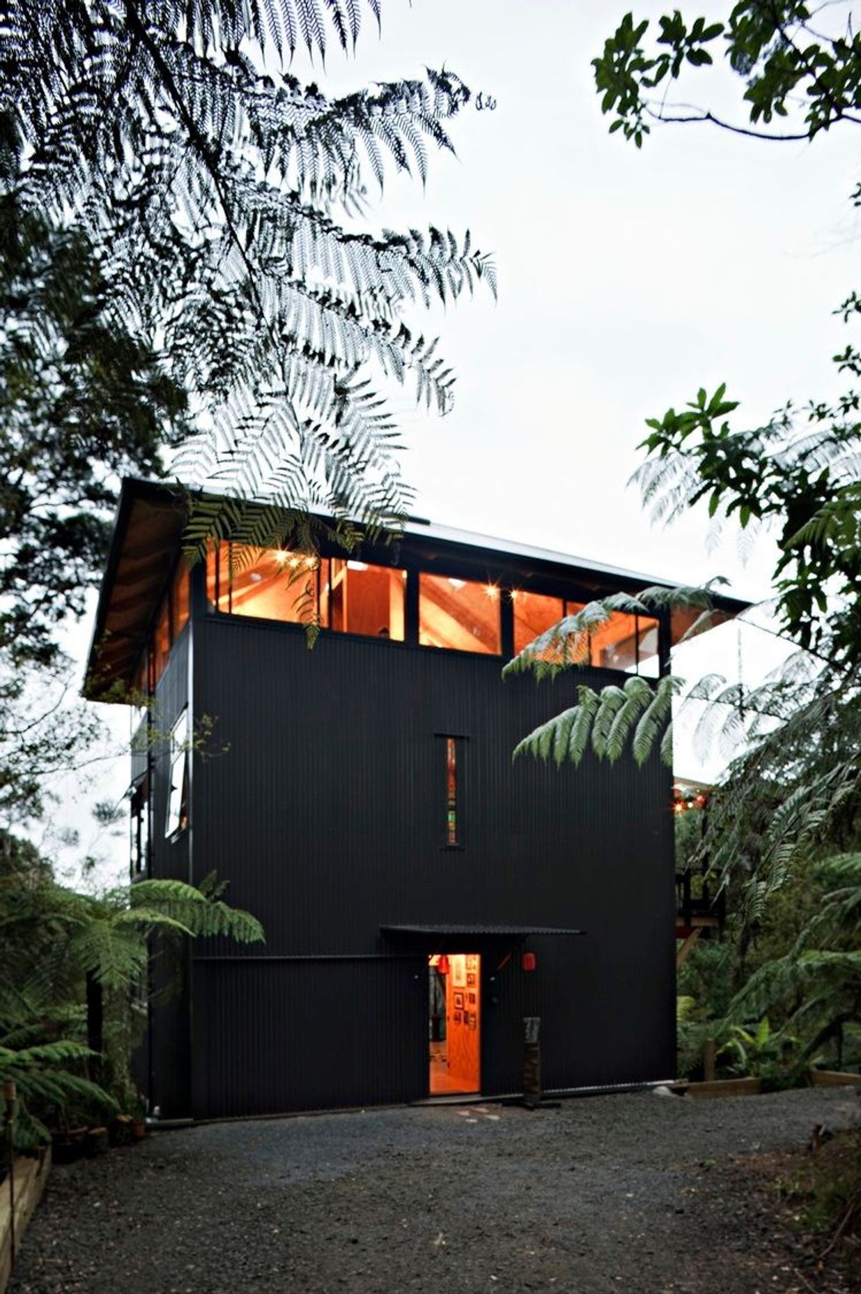 Titirangi House in the Trees