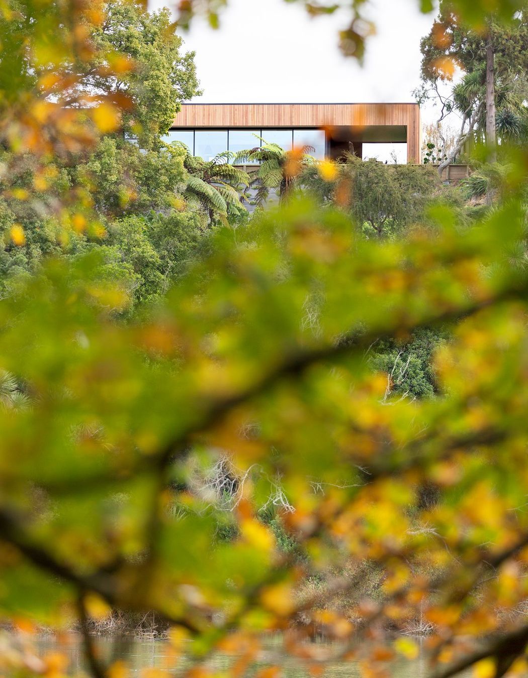 Johnston Residence