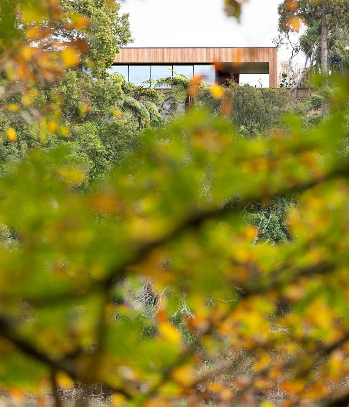 Johnston Residence