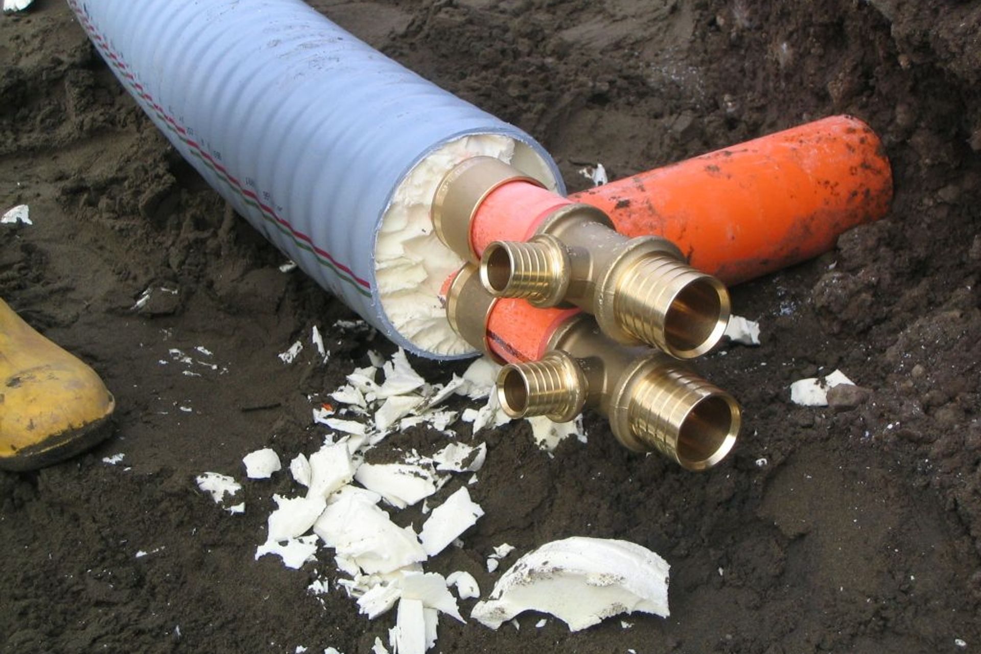 Auckland Women's Prison