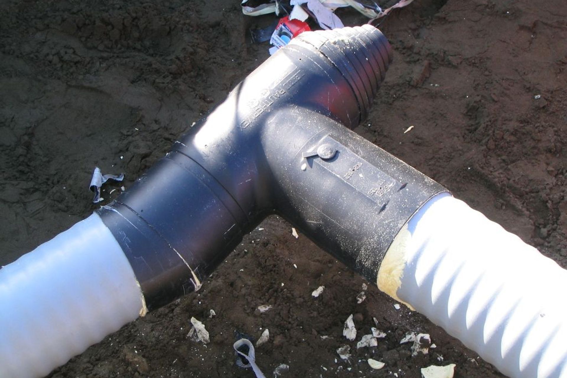 Auckland Women's Prison