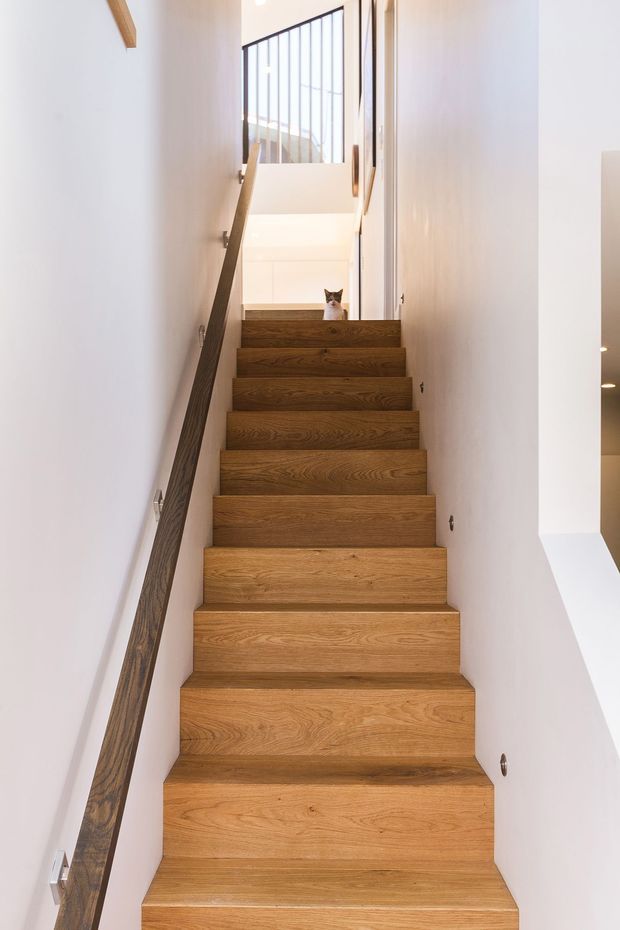 A narrow, bright interior stairway with broad solid timber treads and risers, white walls, and a dark timber handrail along the left side. The stair rises toward a landing with a tall black-framed glazed window and visible upper-level glazing, creating an airy, minimalist composition. A cat is present near the landing.