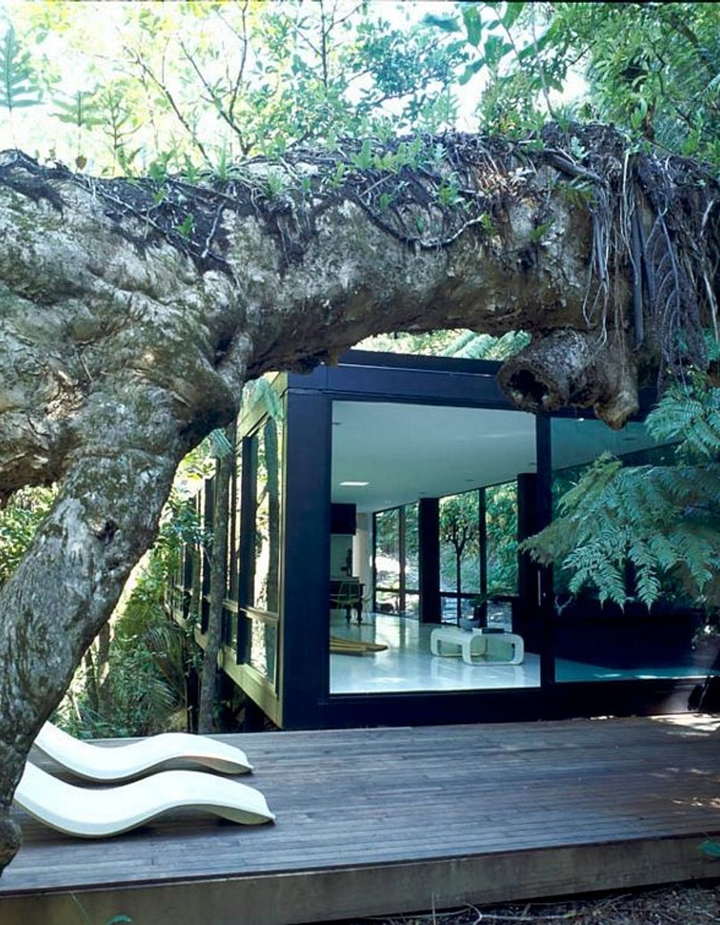 Forest House