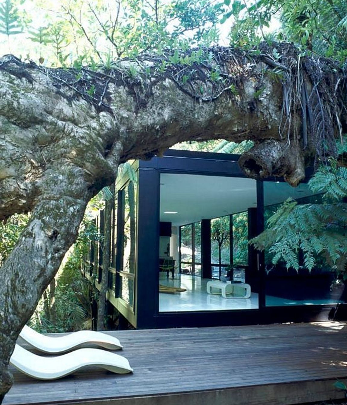 Forest House
