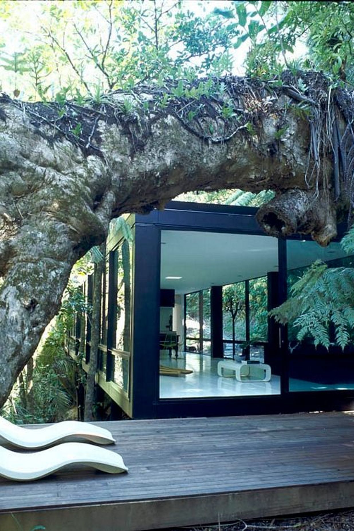 Forest House