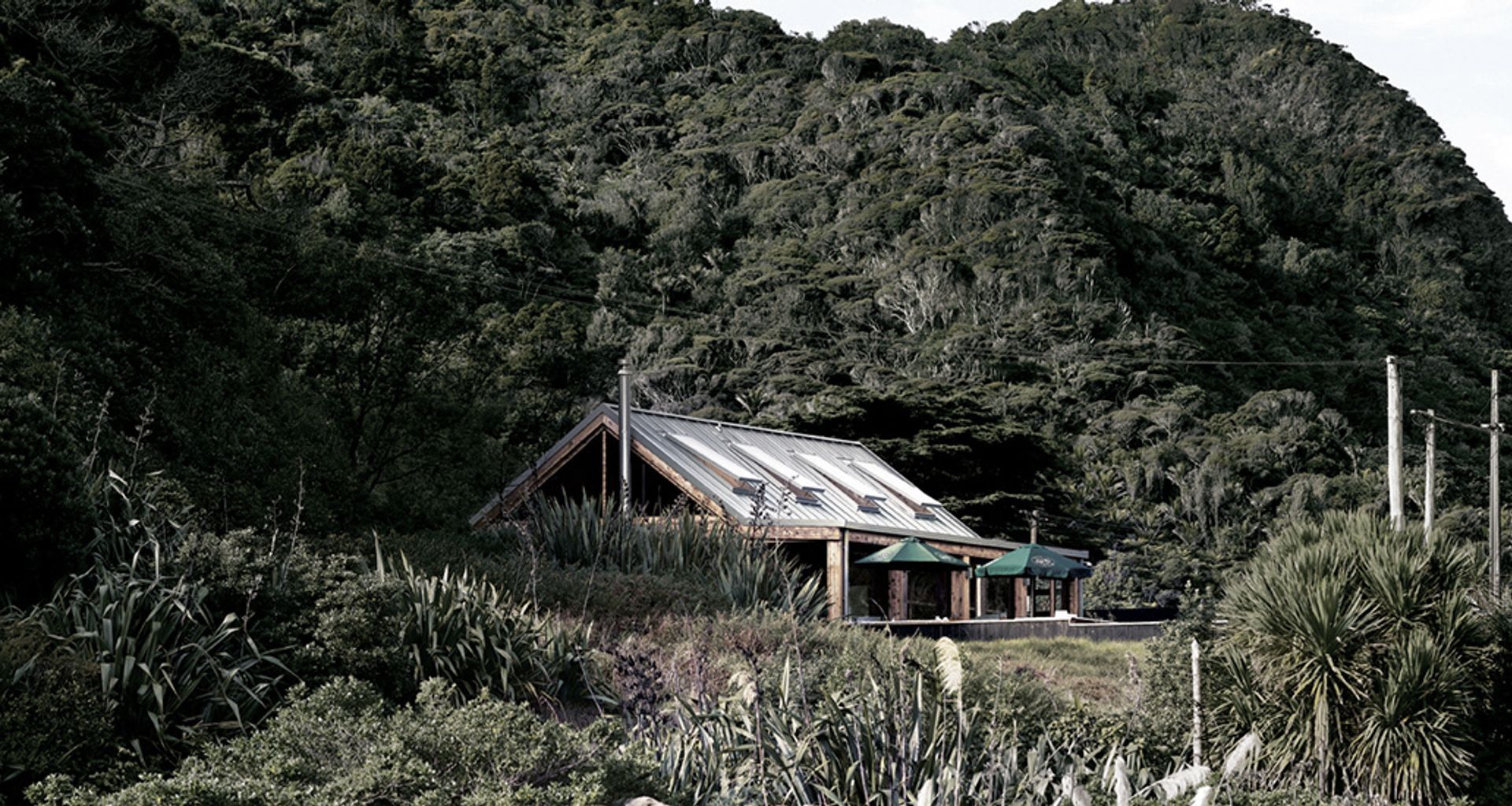 Piha Cafe banner