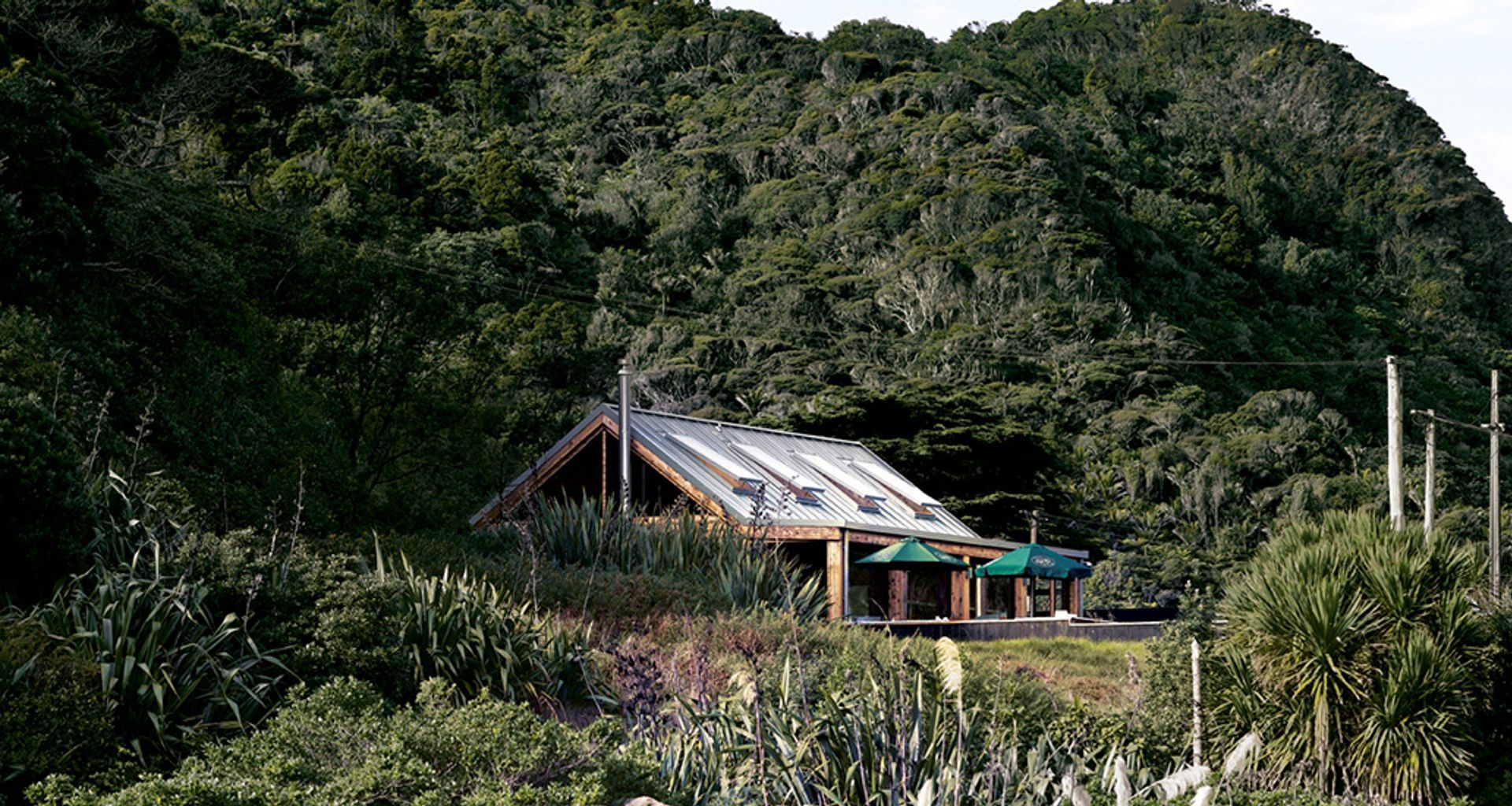 Piha Cafe banner