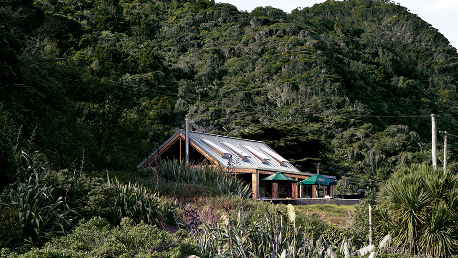 Piha Cafe banner