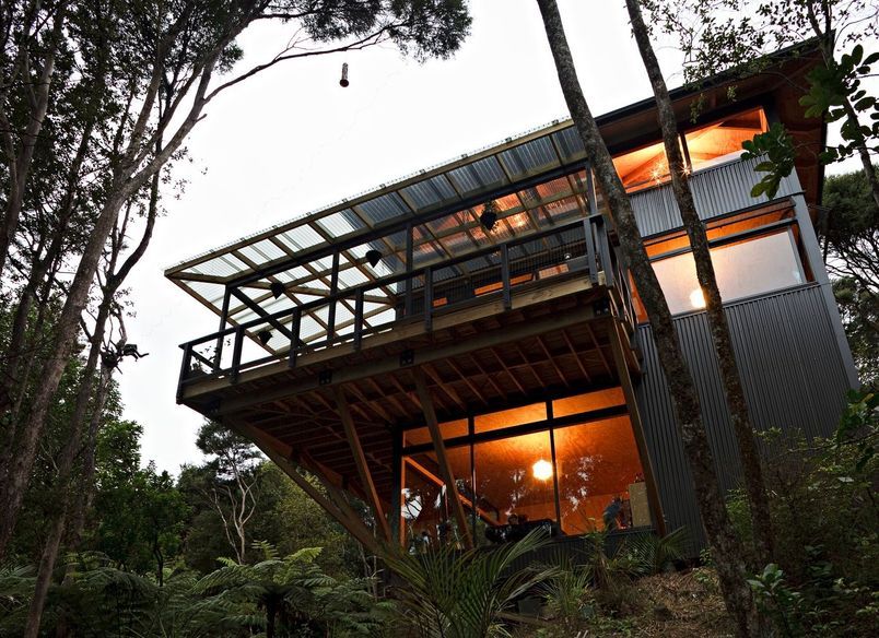 Titirangi House in the Trees