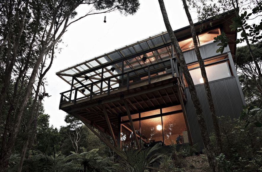 Titirangi House in the Trees