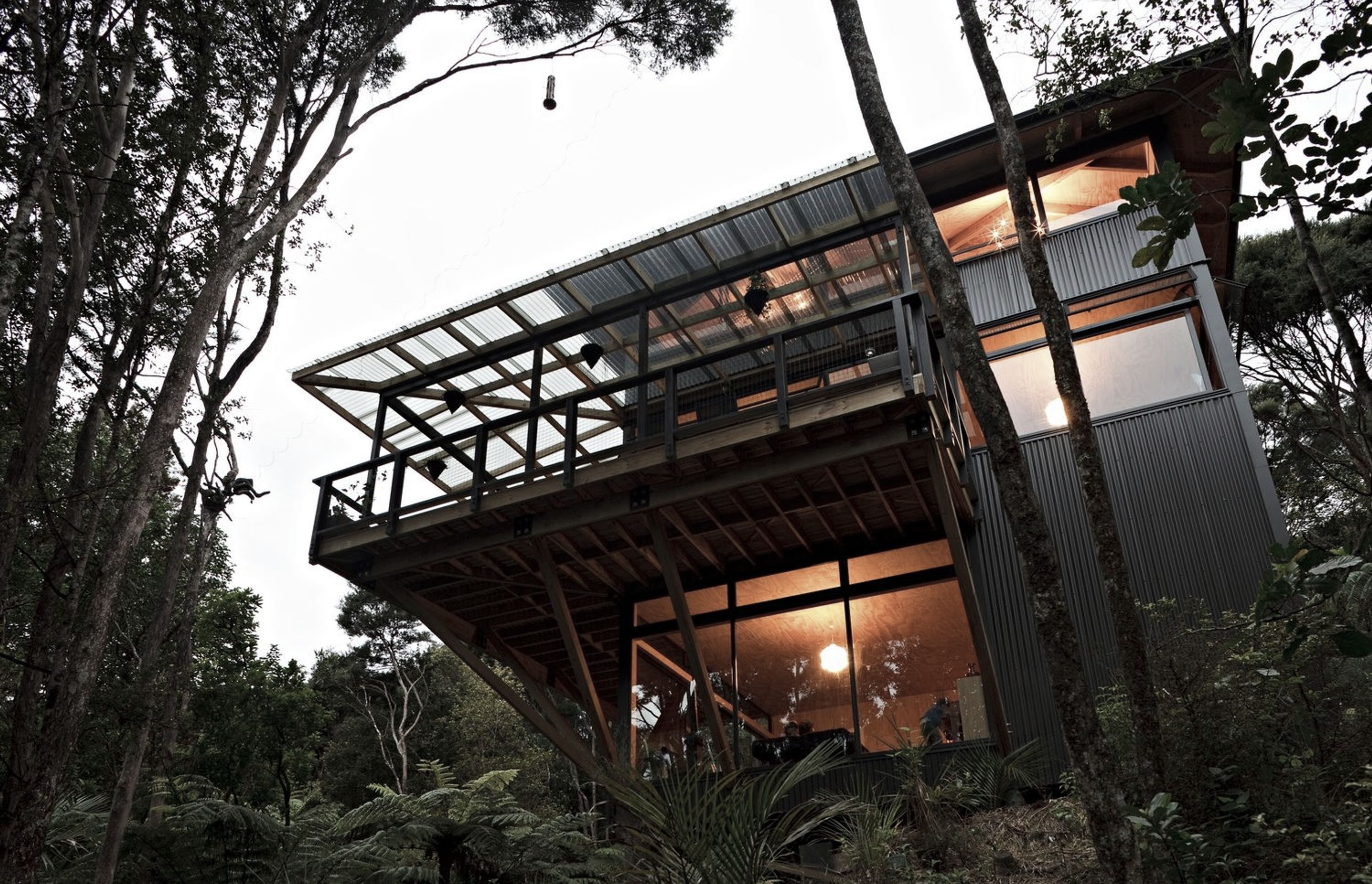 Titirangi House in the Trees