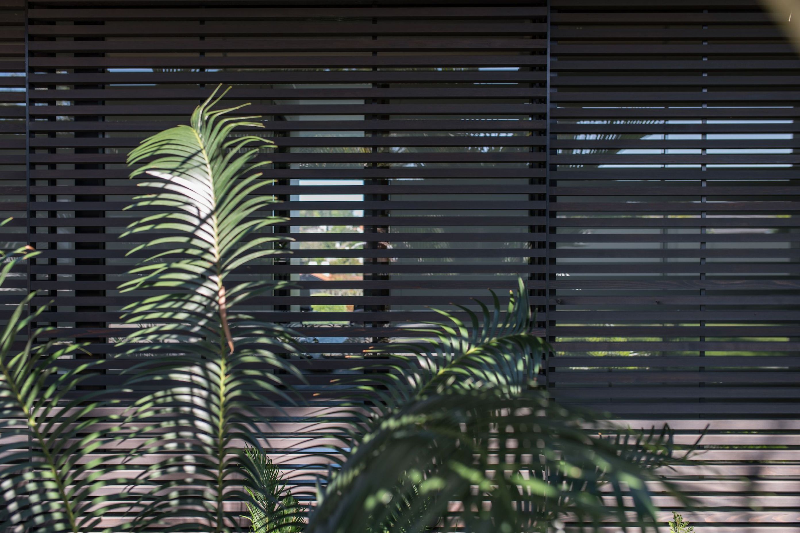 Remuera House