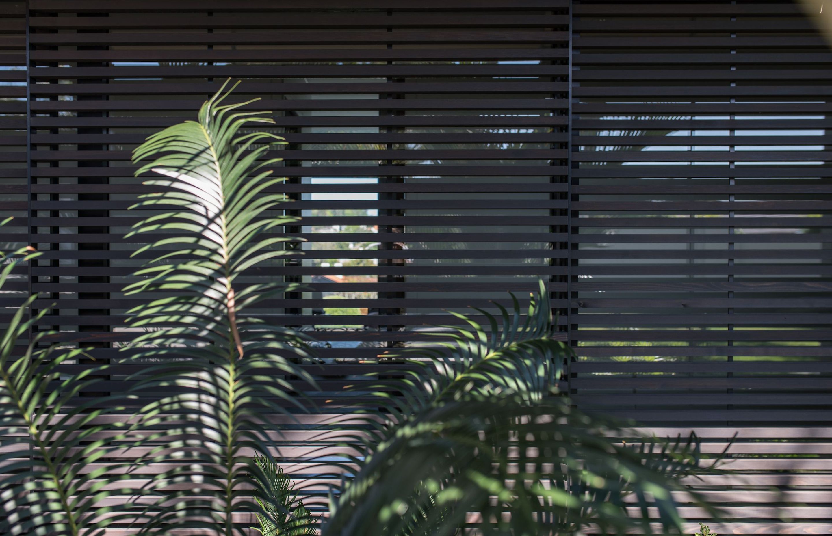 Remuera House