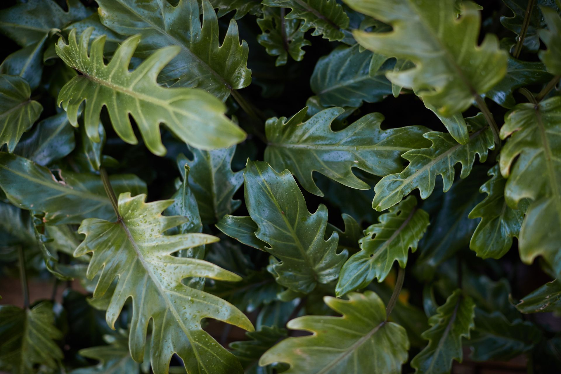 Resort feel in Castor Bay