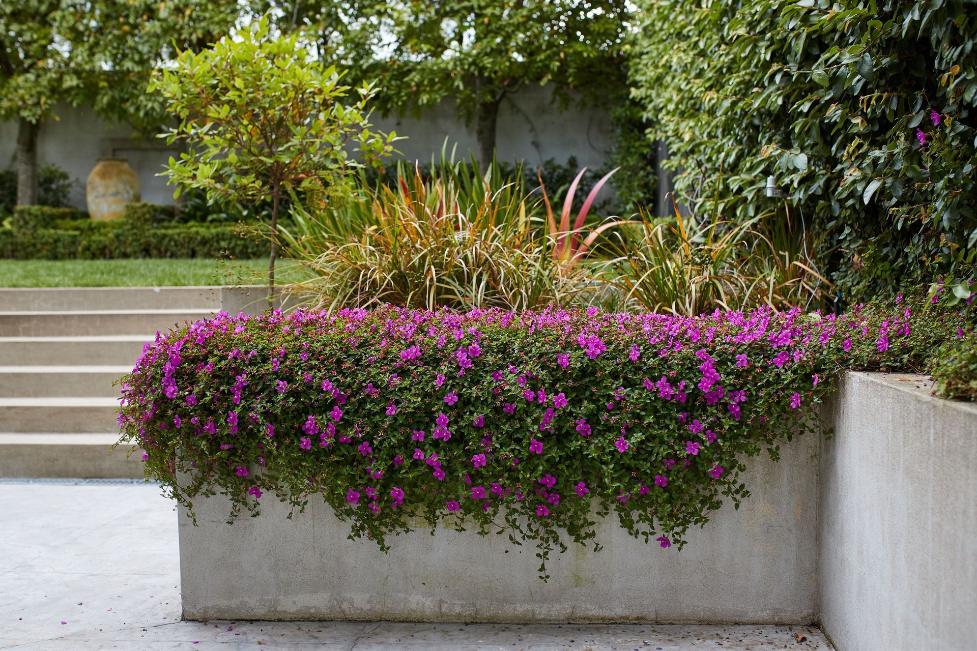 Contemporary City Garden, Parnell