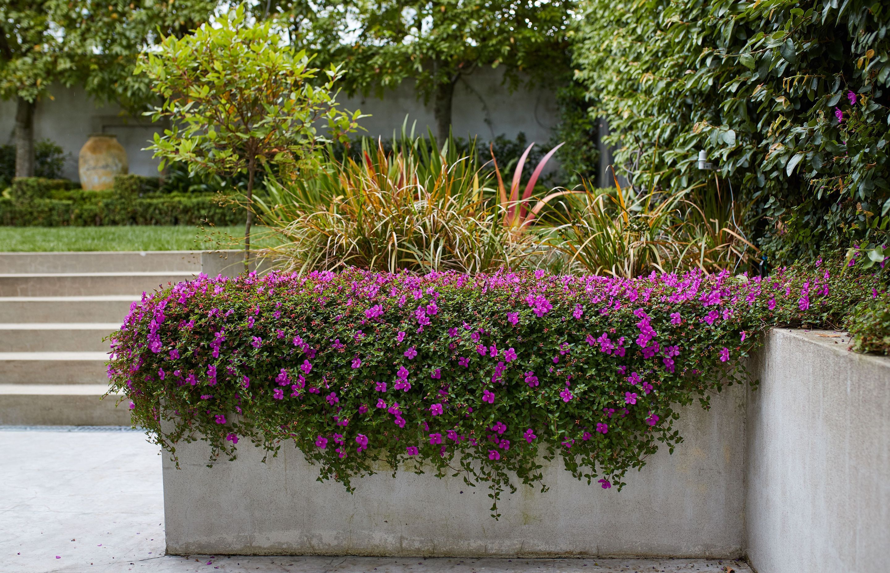 Contemporary City Garden, Parnell