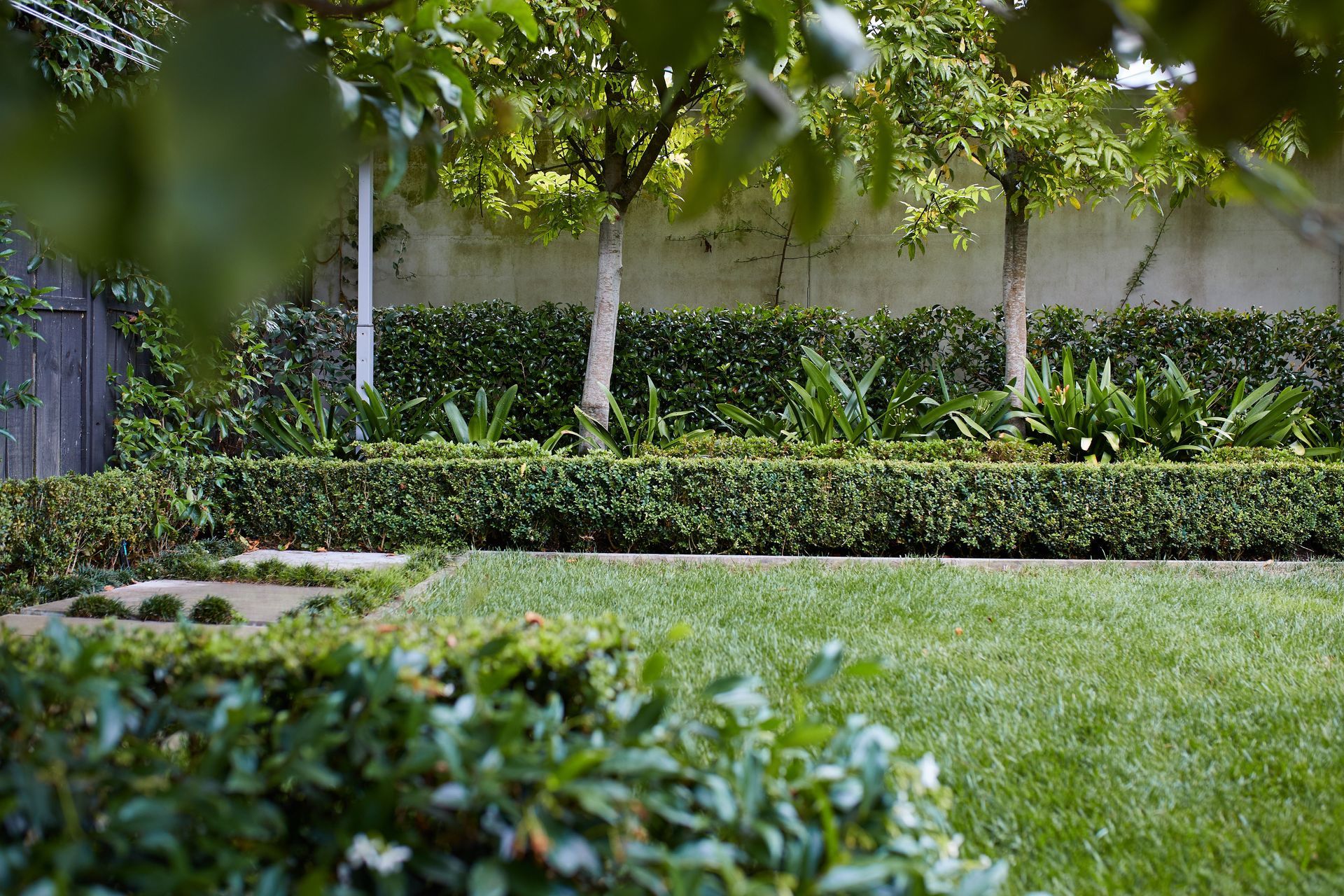 Contemporary City Garden, Parnell