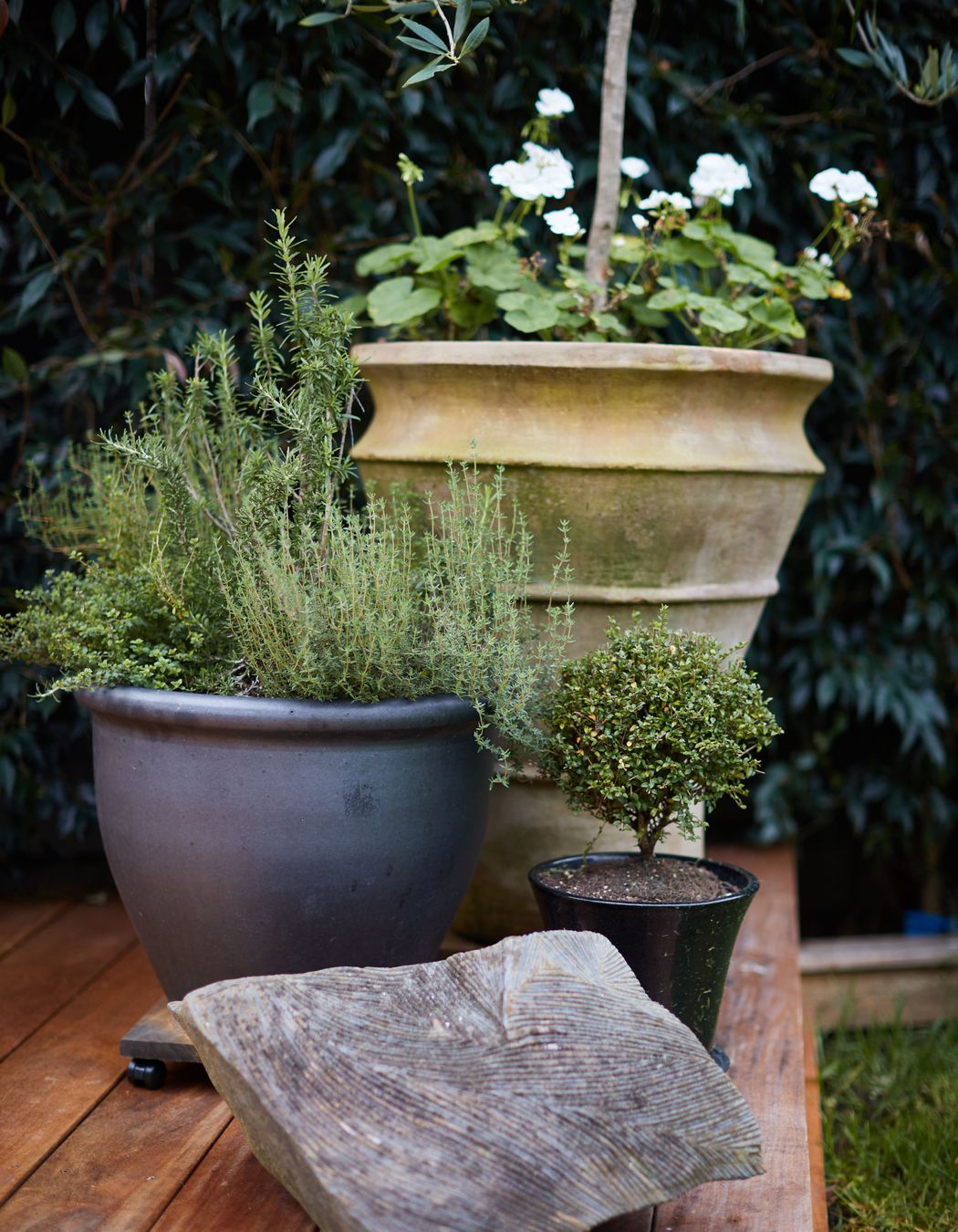 Greenhithe Modern Tuscan Garden