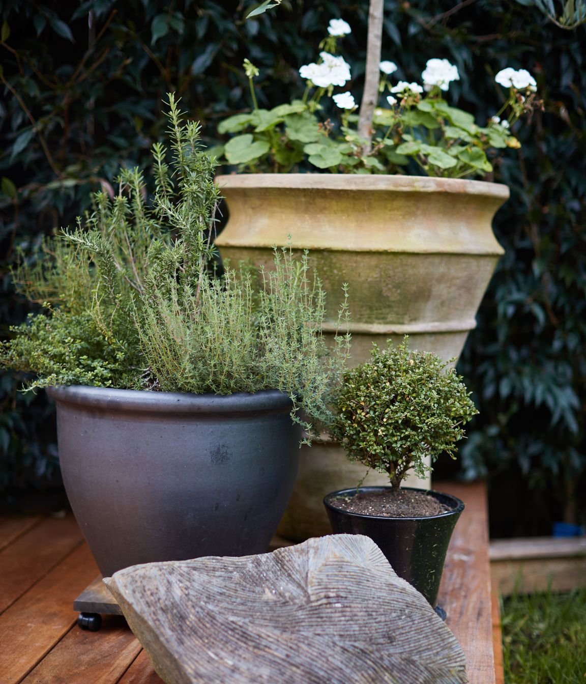Greenhithe Modern Tuscan Garden