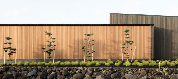 Exterior architectural view of a long, low building clad in warm vertical timber boards, with a taller dark timber-clad volume rising behind it. The facade is set behind a landscaped strip of clipped shrubs and young trees, with a dark volcanic-rock foreground. The composition is minimalist and strongly horizontal, with clean rooflines and restrained detailing.